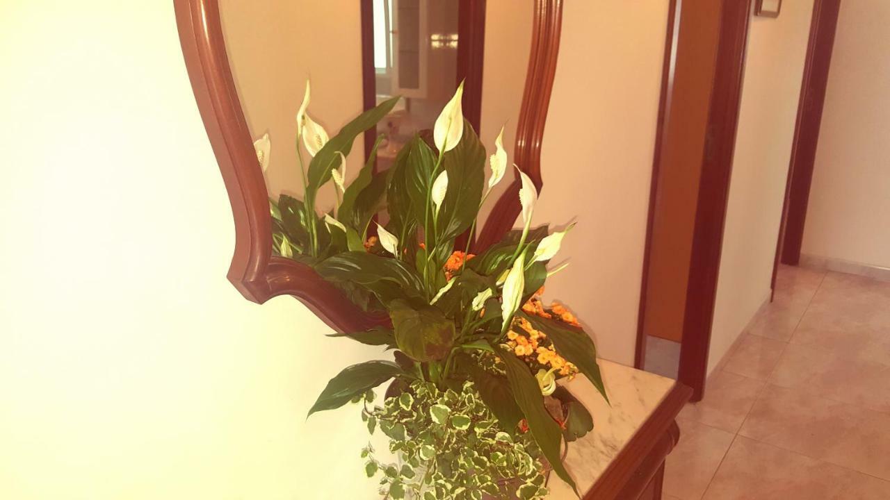 Apartamento A Canteira O Grove Eksteriør billede
